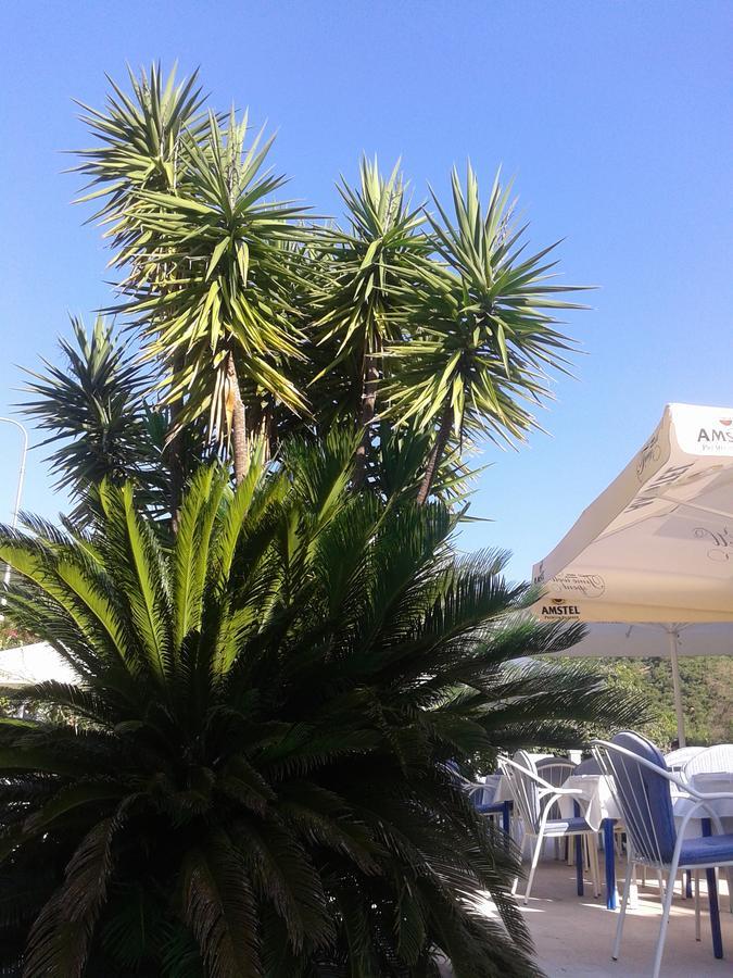 Hotel Jovana Budva Exterior foto